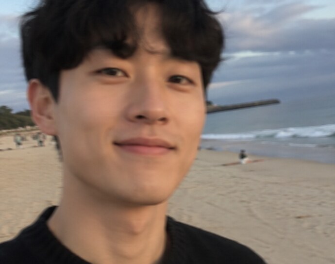 초록빛숲